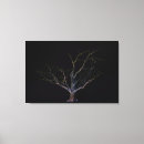 Suche nach eiche leinwandbilder Baum