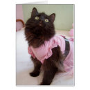 Suche nach cooler raum postkarten Spaß