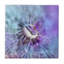 Suche nach schmetterling auf lila blumen fliesen Sommer