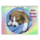 Suche nach jagdhund kalender Tiere