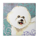 Suche nach bichon frise fliesen Für alle