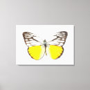 Suche nach girly leinwandbilder Natur