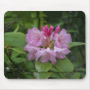 Suche nach porto briefmarken mousepads Reise