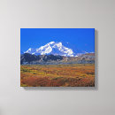 Suche nach nationalparks leinwandbilder Denali nationalpark