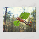 Suche nach flyer postkarten Lustig