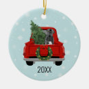 Suche nach cane corso ornamente Haustier