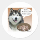Suche nach malamute aufkleber Hund