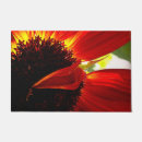 Suche nach roter gerbera Blume