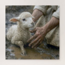Suche nach lamm puzzle Für alle