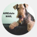 Suche nach airedale aufkleber Terrier
