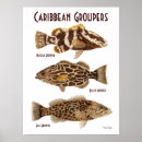 Suche nach tiefseefischen poster Boot