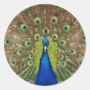 Suche nach schöner pfau aufkleber Für alle