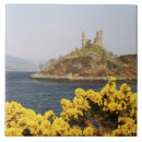 Suche nach wright fliesen Niemand