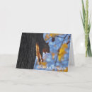 Suche nach niedlich eichhörnchen bilder postkarten Natur