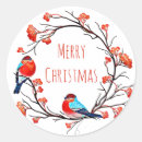 Suche nach weihnachtsvögel aufkleber Winter