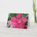 Suche nach oleander karten Botanisch