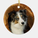 Suche nach border collie ornamente Niedlich