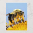 Suche nach newton postkarten Blume