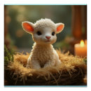 Suche nach kleines lamm poster Niedlich