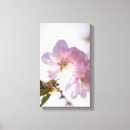 Suche nach kleeblätter leinwandbilder Für alle