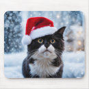 Suche nach schwarz weiße katze mousepads Kätzchen