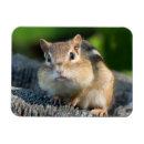 Suche nach biologie magnete Niedlich