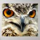 Suche nach anblick poster Auge