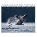 Suche nach wal kalender Wild lebende tiere