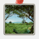 Suche nach hängematte ornamente Natur