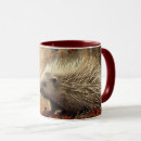 Suche nach stachelschweine kaffee tassen Wildtiere