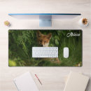 Suche nach wald fuchs mousepads Waldland