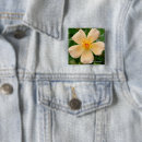 Suche nach hybrider buttons Rose