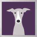 Suche nach whippet poster Tiere