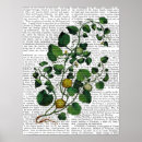 Suche nach squash poster Rebsorte