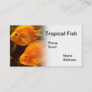Suche nach orange fische visitenkarten Aquarium
