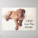 Suche nach vizsla poster Niedlich