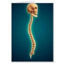 Suche nach rückenmark postkarten Wirbelsäule