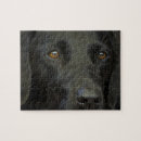 Suche nach schwarzer labrador puzzle Welpe