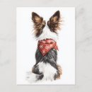 Suche nach papillon hund postkarten Urlaub