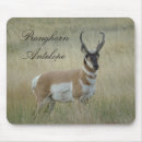 Suche nach bock mousepads Antilope