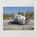 Suche nach sorglos postkarten Horizontal
