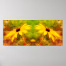 Suche nach auge poster Fotografie