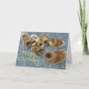 Suche nach pekingese Pekinese