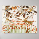 Suche nach katze und vogel poster Ägypter