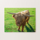 Suche nach rindfleisch puzzle Rinder