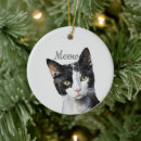 Suche nach meow ornamente Tiere