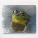 Suche nach froggy mousepads Frösche