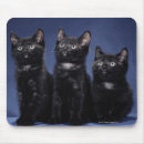 Suche nach wachsamkeit mousepads Horizontal