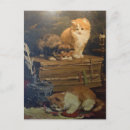 Suche nach schrei postkarten Jede person