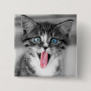Suche nach katze mit blauen augen buttons Kätzchen